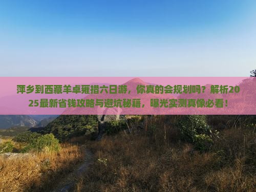 萍乡到西藏羊卓雍措六日游