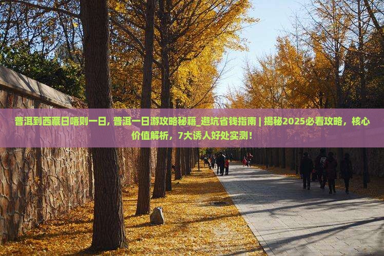 普洱到西藏日喀则一日