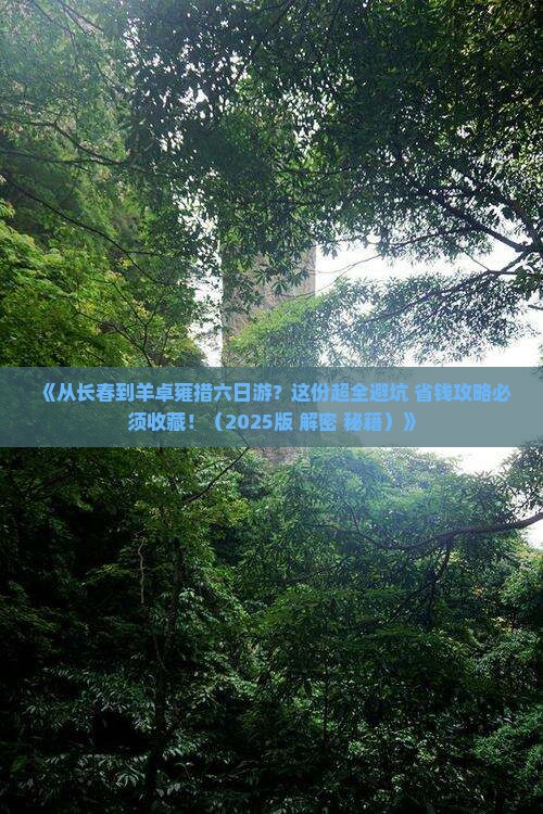 长春到西藏羊卓雍措六日游