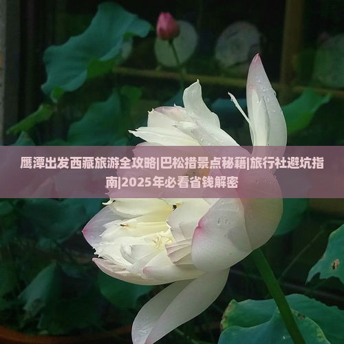 鹰潭去西藏巴松措旅行社