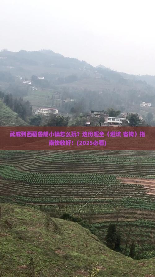 武威去西藏鲁朗小镇攻略