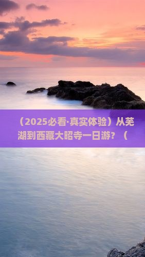 芜湖去西藏大昭寺一日