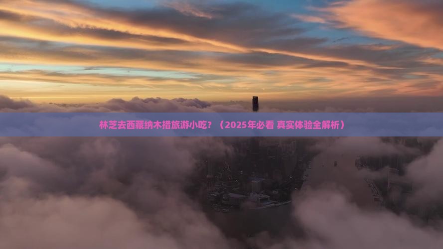 林芝去西藏纳木措旅游小吃 林芝去西藏纳木措旅游小吃