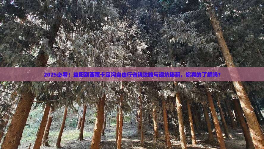 益阳到西藏卡定沟自由行