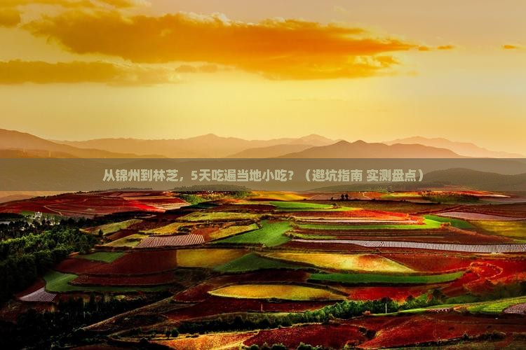 锦州到西藏林芝旅游小吃