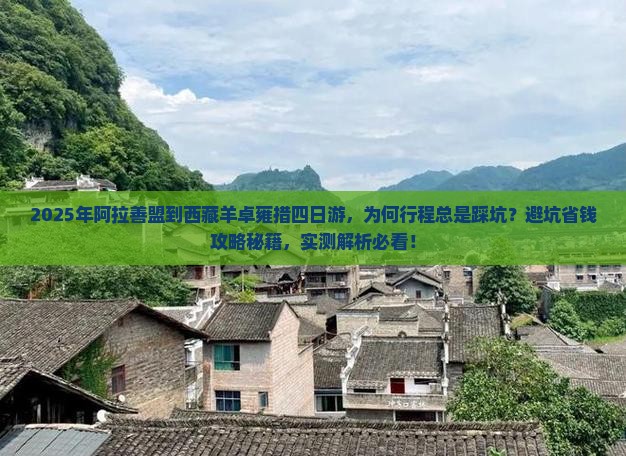 阿拉善盟到西藏羊卓雍措四日游