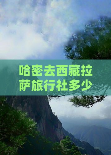 哈密去西藏拉萨旅行社 哈密去西藏拉萨旅行社