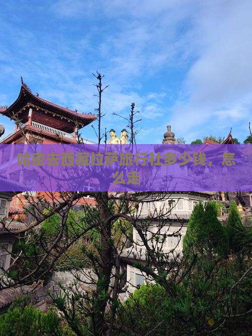 哈密去西藏拉萨旅行社 哈密去西藏拉萨旅行社