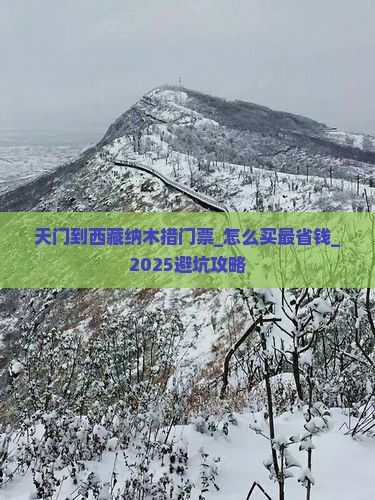 天门到西藏纳木措门票