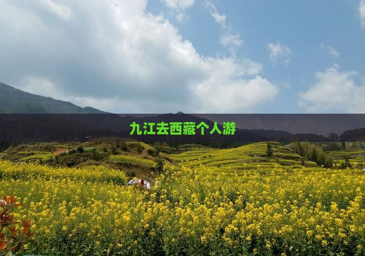 九江去西藏个人游