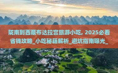 陇南到西藏布达拉宫旅游小吃