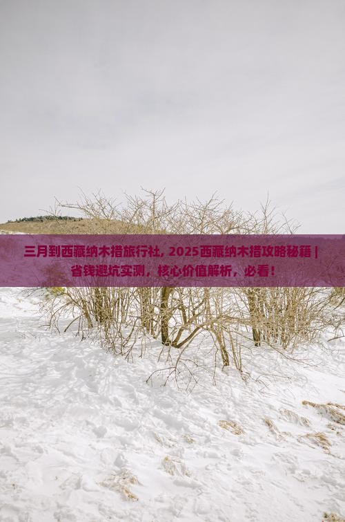 三月到西藏纳木措旅行社