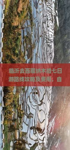 临沂去西藏纳木措七日游