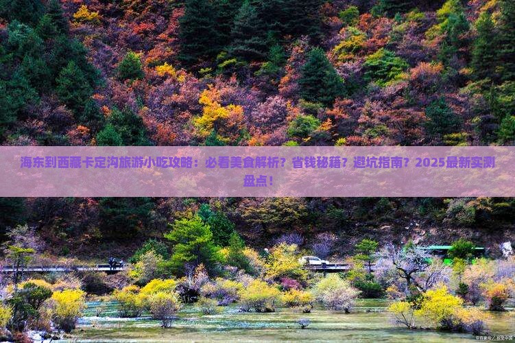海东到西藏卡定沟旅游小吃