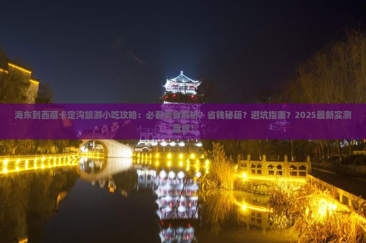 海东到西藏卡定沟旅游小吃