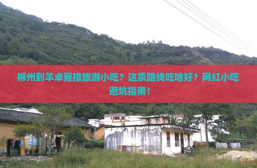 郴州到西藏羊卓雍措旅游小吃 郴州到西藏羊卓雍措旅游小吃