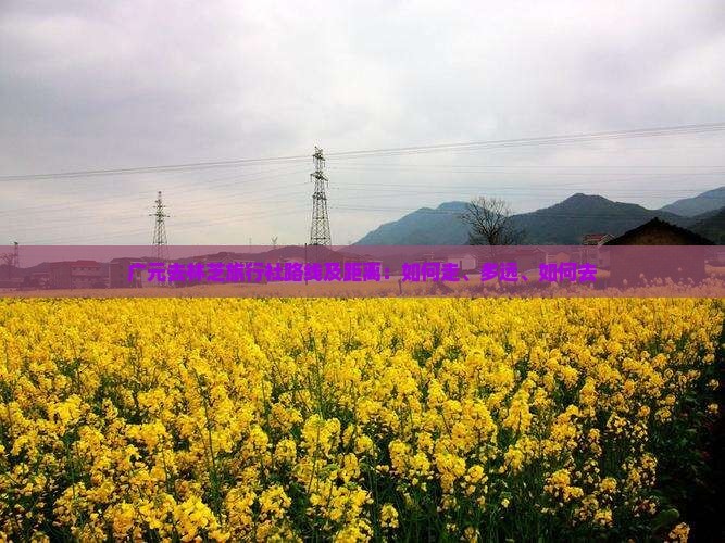 广元去西藏林芝旅行社