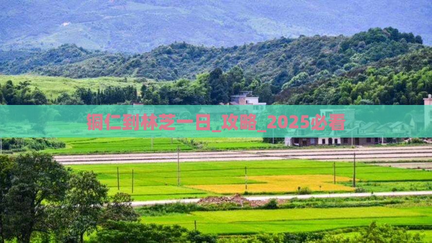 铜仁到西藏林芝一日
