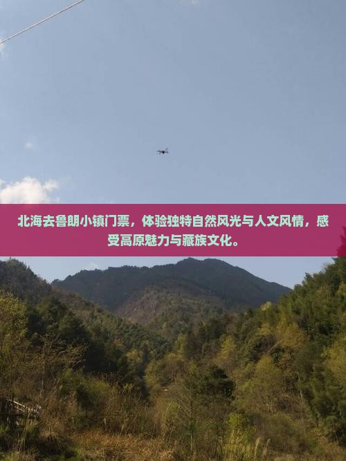 北海去西藏鲁朗小镇门票
