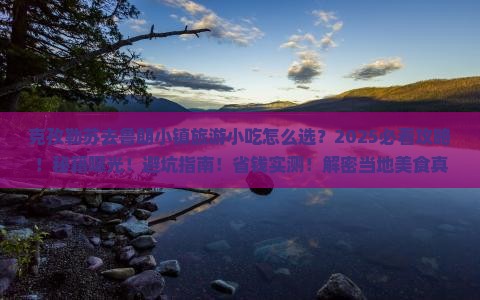 克孜勒苏去西藏鲁朗小镇旅游小吃