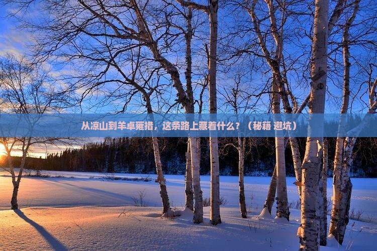 凉山到西藏羊卓雍措自由行