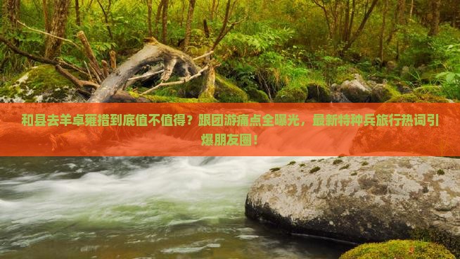和县去西藏羊卓雍措大型旅游团