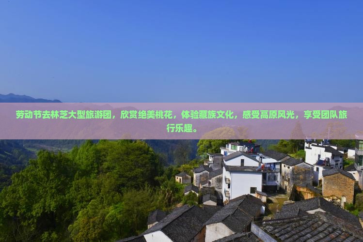 劳动节去西藏林芝大型旅游团