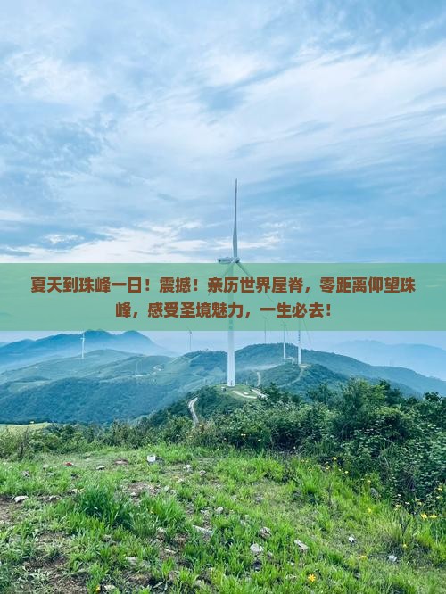 夏天到西藏珠峰大本营一日