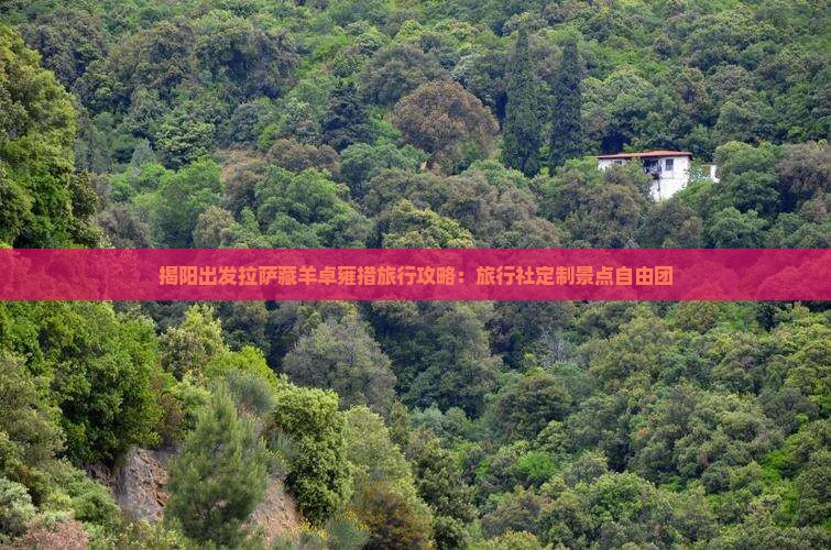 揭阳出发拉萨藏羊卓雍措旅行攻略：旅行社定制景点自由团