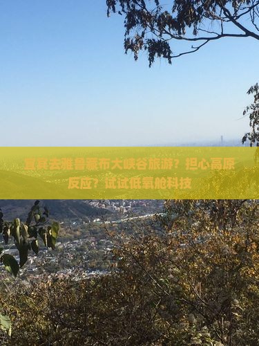 宜宾去雅鲁藏布大峡谷旅游？担心高原反应？试试低氧舱科技