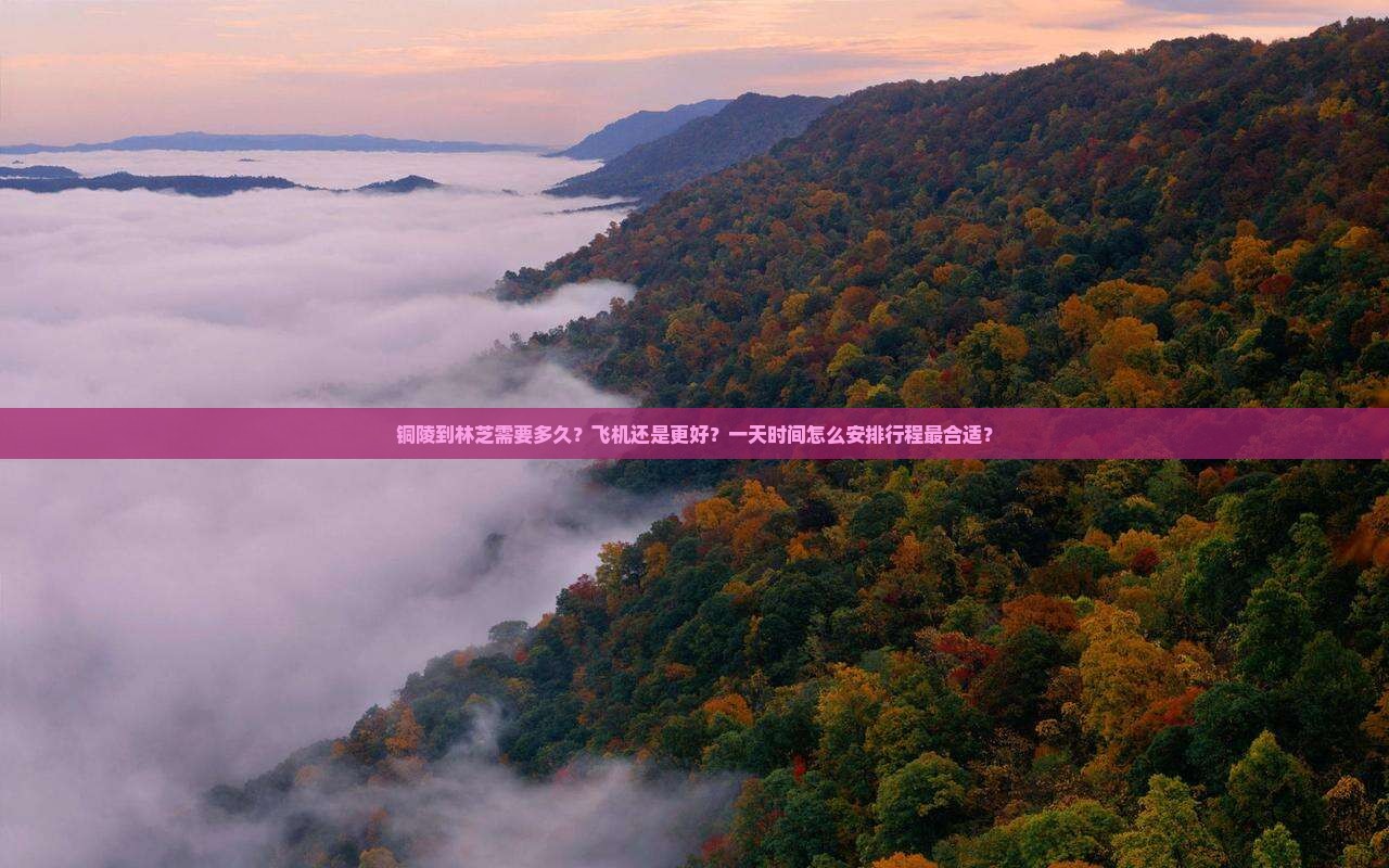 铜陵到林芝需要多久？飞机还是更好？一天时间怎么安排行程最合适？