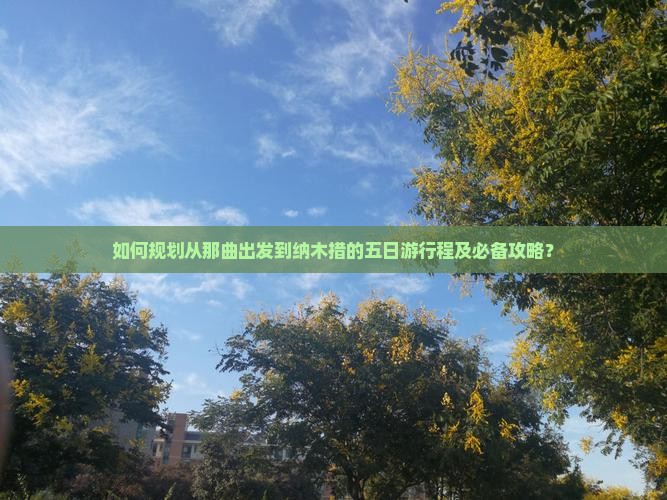 如何规划从那曲出发到纳木措的五日游行程及必备攻略？