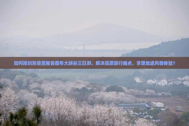 如何规划常德至雅鲁藏布大峡谷三日游，解决高原旅行痛点，享受地道风情体验？
