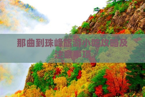 那曲到珠峰旅游小吃攻略及注意事项