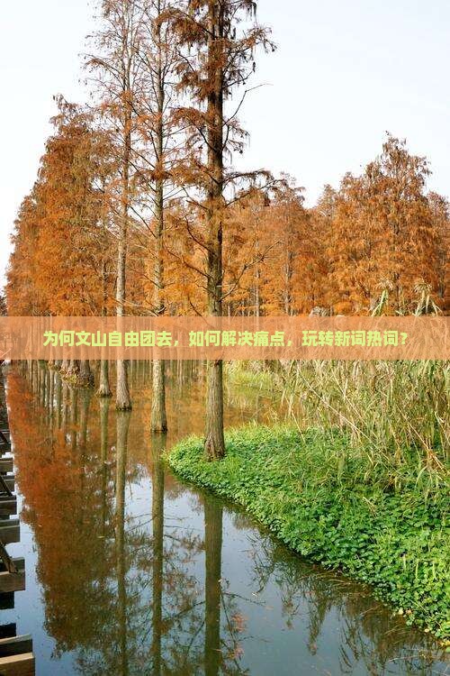为何文山自由团去，如何解决痛点，玩转新词热词？