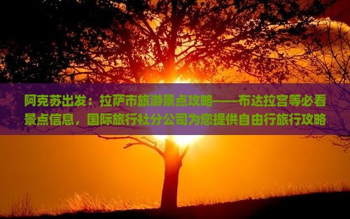 阿克苏出发：拉萨市旅游景点攻略——布达拉宫等必看景点信息，国际旅行社分公司为您提供自由行旅行攻略