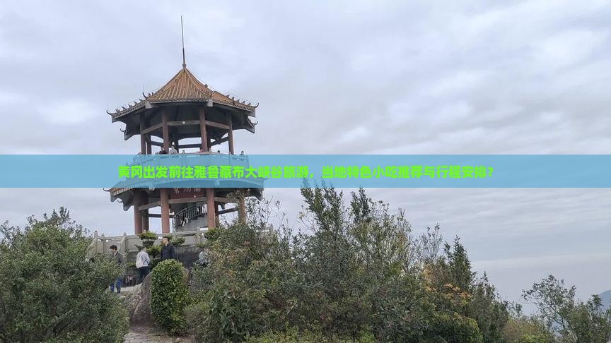 黄冈出发前往雅鲁藏布大峡谷旅游，当地特色小吃推荐与行程安排？