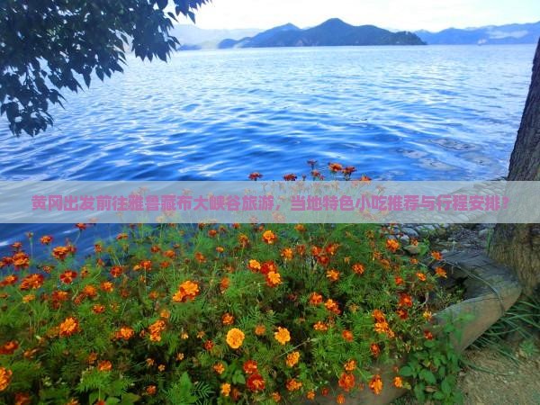 黄冈出发前往雅鲁藏布大峡谷旅游，当地特色小吃推荐与行程安排？