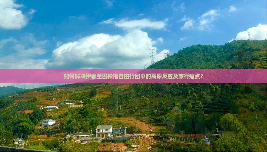 如何解决伊春至巴松措自由行团中的高原反应及旅行痛点？