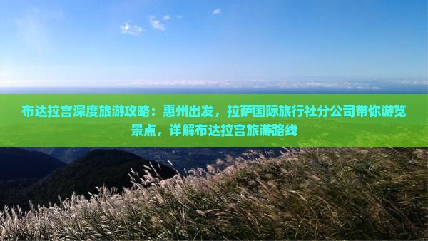 布达拉宫深度旅游攻略：惠州出发，拉萨国际旅行社分公司带你游览景点，详解布达拉宫旅游路线