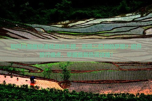 如何从楚雄快速畅游纳木措，实现二日游的梦想？避开旅行痛点，掌握最新热词攻略！