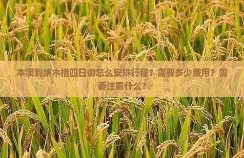 本溪到纳木措四日游怎么安排行程？需要多少费用？需要注意什么？