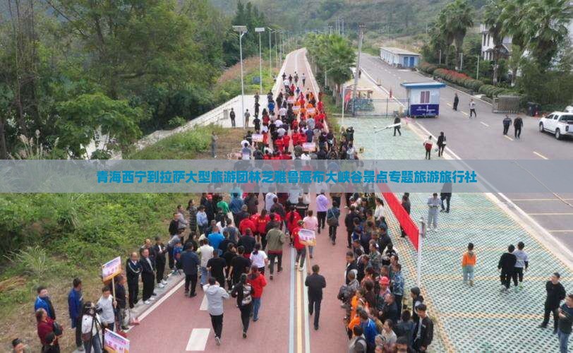 青海西宁到拉萨大型旅游团林芝雅鲁藏布大峡谷景点专题旅游旅行社