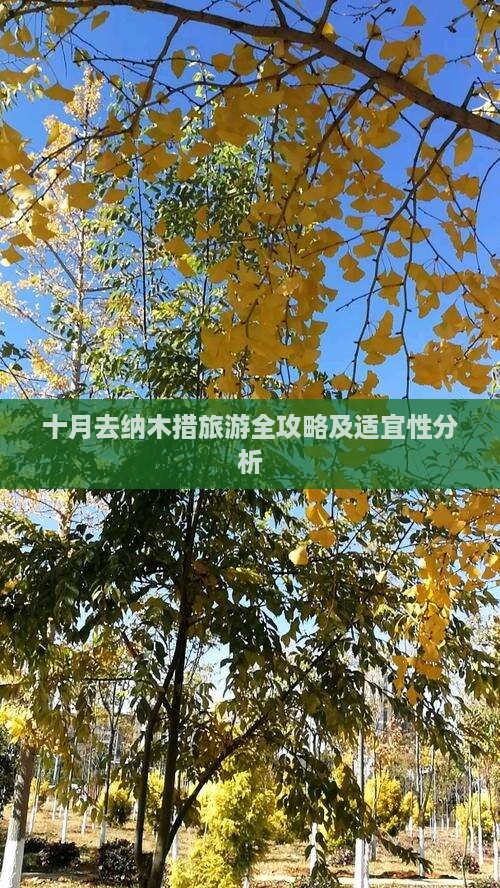 十月去纳木措旅游全攻略及适宜性分析