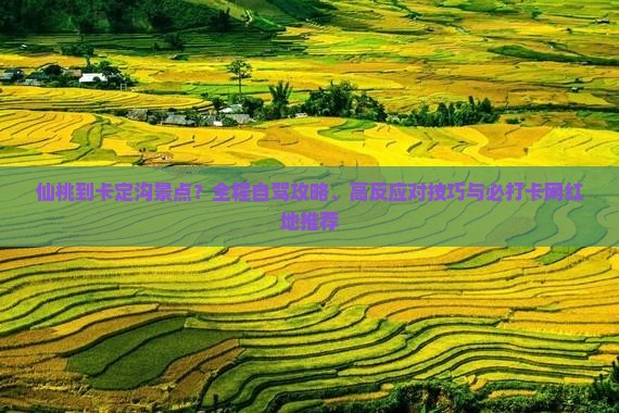 仙桃到卡定沟景点？全程自驾攻略、高反应对技巧与必打卡网红地推荐