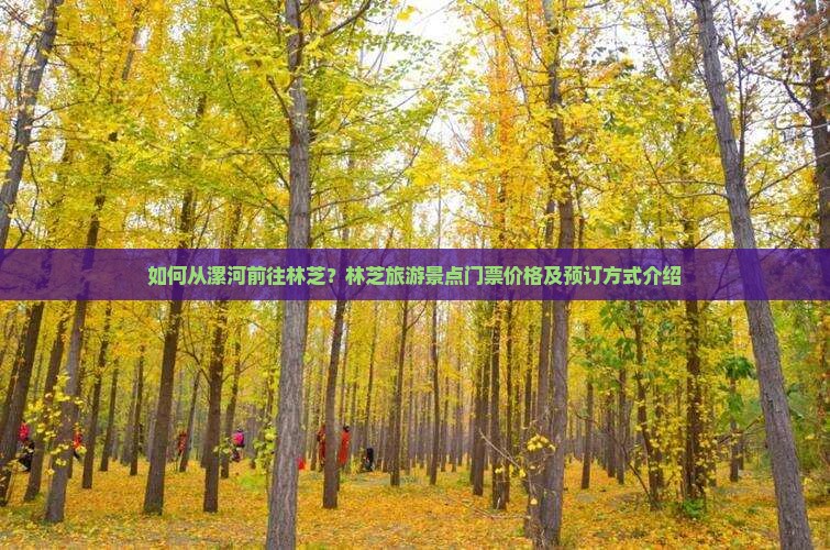 如何从漯河前往林芝？林芝旅游景点门票价格及预订方式介绍