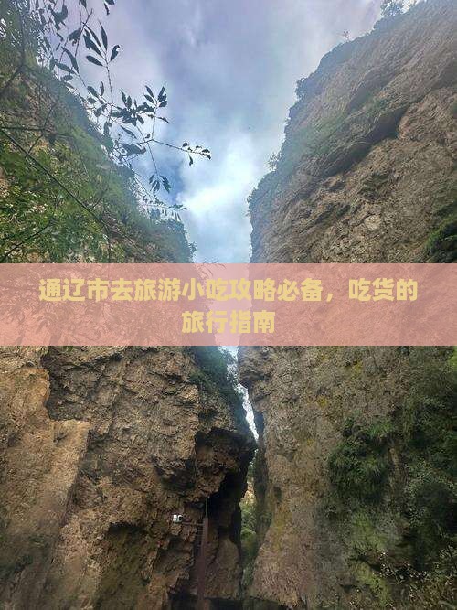通辽市去旅游小吃攻略必备，吃货的旅行指南