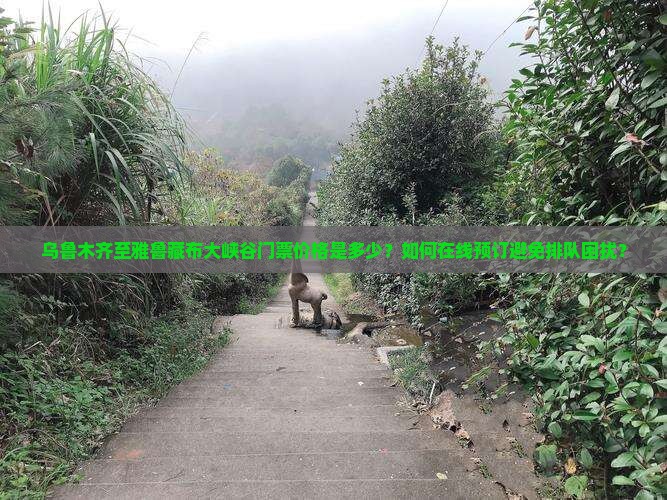 乌鲁木齐至雅鲁藏布大峡谷门票价格是多少？如何在线预订避免排队困扰？