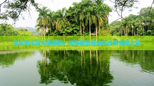海东到卡定沟哪里玩：探秘藏地秘境与自然奇观之旅