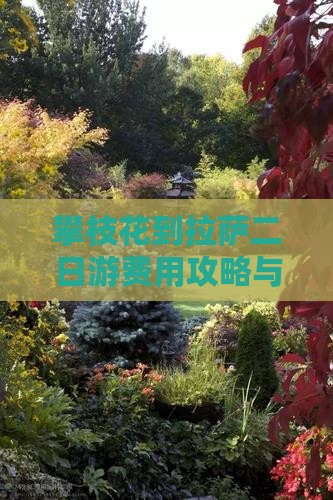 攀枝花到拉萨二日游费用攻略与自驾路线详解